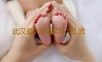 武汉最大的助孕公司,武汉试管婴儿助孕医院排名-供卵正规吗